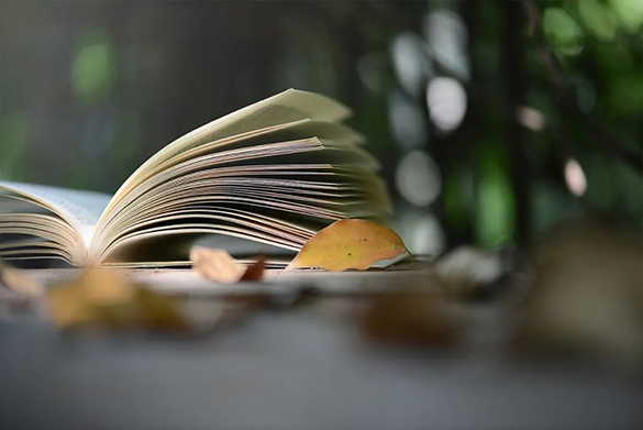 1588759189700016.jpg 13.jpg